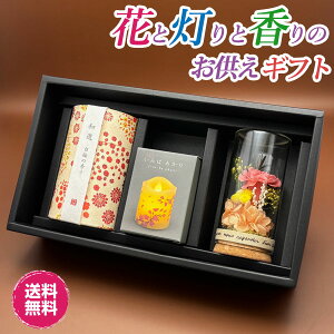 �y�Ԃ̂�����3�_�Z�b�g�z LED���[�\�N (��SS) �~�j�v���U ���_���s���N ���~�̍��� ������ �Z�b�g ������� �ԃZ�b�g �v���U�[�u�h�t�����[ �͂�Ȃ� M�s���N �J�[�l�[�V���� ������ �a�V ���d