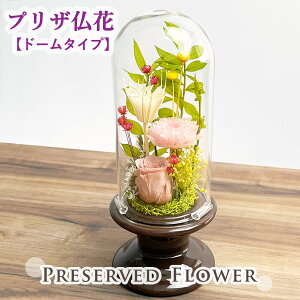 vU[uht[ z܂ sN[Y yh[^Cvz   ͂Ȃ d d   @v r  KXh[| dp @ uU[h  