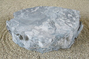 yʓrzyYE{YEQYzyɗ\zCg΁zyBE΁Eݑ΁Eu΁zy΁Ei΁zdʕׂ̈w̍ۉ^̂mFK{߂́uRʉ^@xX~