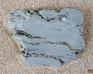 yYE{YEQYzyɗ\΁zy΁E΁Eq΁EXebvXg[zy΁Ei΁E΂̒uzyؒEaECeAEԒdzyȒPݒuiꕽ؁jzyViʁj