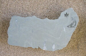 yʓrzyYE{YEQYzyɗ\΁zyBE΁Eݑ΁Eu΁E΁E΁Ei΁zyʁFƍgt(jGtzdʕׂ̈w̍ۉ^̂mFK{