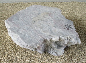 【送料別途】【国産・日本産・愛媛県産】【伊予 紅しぐれ石】【沓脱石・踏み台石・物置石】【庭石・景石】【上面:紅葉(磨き)絵柄付】★重量物の為ご購入の際運搬のご確認必須★お近