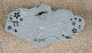 yYE{YEQYzyɗ\΁zyBE΁Eݑ΁Eu΁E΁zyؒEaEi΁E΁EzẙG^tidjzyViʁjFuXgdzyȒP