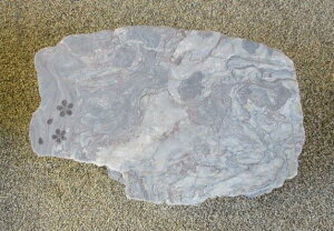 yʓrzyYE{YEQYzyɗ\g΁zyBE΁Eݑ΁Eu΁zy΁E΁zyʁF(jGtzdʕׂ̈w̍ۉ^̂mFK{߂