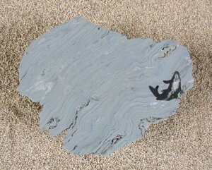 yYE{YEQYzyɗ\΁zyBE΁Eݑ΁Eu΁E΁zyؒEaEi΁E΁EzẙG^tidjzyViʁjFuXgdzyȒP