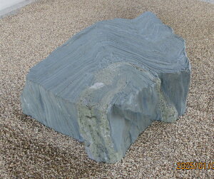 yʓrzyYE{YEQYzyɗ\΁zyBE΁Eݑ΁Eu΁E΁zyؒEi΁ECeAEԒdE΁Ezdʕׂ̈w̍ۉ^̂mFK{