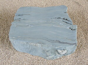 yʓrzyYE{YEQYzyɗ\΁zyBE΁Eݑ΁Eu΁E΁zyؒEi΁ECeAEԒdE΁Ezdʕׂ̈w̍ۉ^̂mFK{