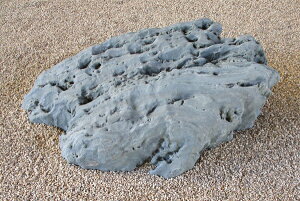 yYE{YEQYzyɗ\΁iR΁jzy΁Ei΁zyؒEaECeAEԒdzyȒPݒuiꕽ؁jz