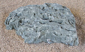 yYE{YEQYzyɗ\΁iR΁jzy΁Ei΁zyؒEaECeAEԒdzyȒPݒuiꕽ؁jz