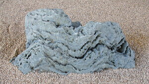 yYE{YEQYzyɗ\΁iR΁jzy΁Ei΁zyؒEaECeAEԒdzyȒPݒuiꕽ؁jz