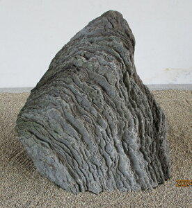 yʓrzyYE{YEQYzyɗ\gubN΁iR΁jzy΁Ei΁zyؒEaECeAEԒdzdʕׂ̈w̍ۉ^̂mFK{߂́uR