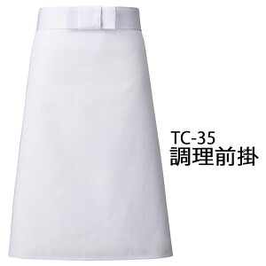 Servo T[H O| ~hGv  zCg H ~[ HX Xg JtF  VFt RbN jtH[  tc-35 [։1