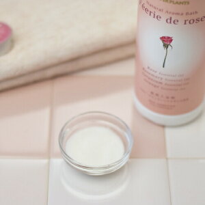 yr[10offznCp[vci`A}oX@tFf[Y tFf[Y500g@y򕔊Oi [Y [Y}[ [jE IWz