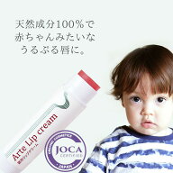 【レビューで10％off】アルテ紫草リップクリーム 4g≪日本国内メール便対応≫【親子で使える】【 オーガ…