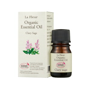 Et[I[KjbNGbZVIC NZ[W 2ml{[֑Ή