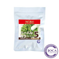 【レビューで10％off】マハラニマハラニ ハーバルカラー5（ダークブラウン） 100g【アーユルヴェーダ ヘ…