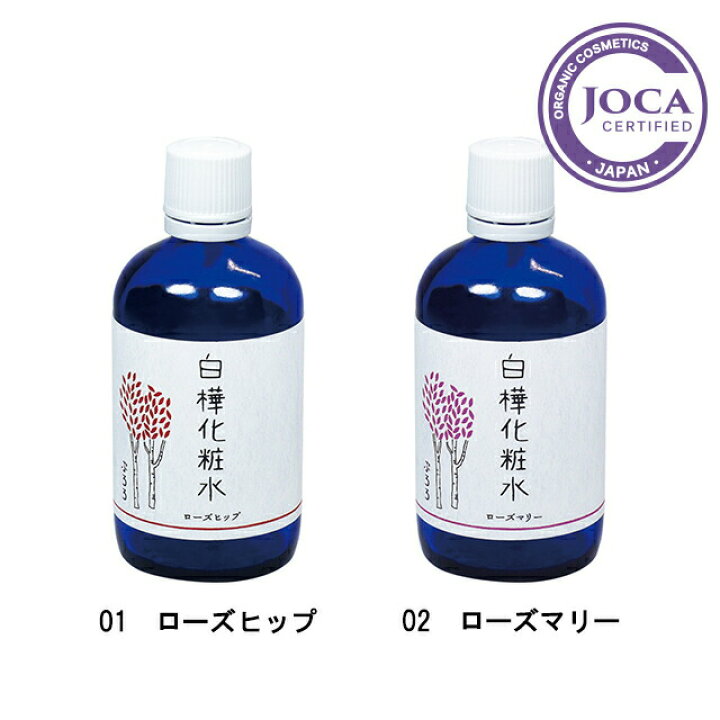 楽天市場】【レビューで10％off】ぷろろ健美堂 ぷろろ白樺化粧水 全2種 
