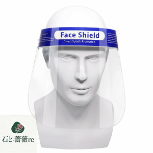 @tFCXV[h ȈՎ  100Zbg tFCXK[h@یtB tFCXV[h tFCXK[h }XN V[h ho ֗@S EBX lp jp 