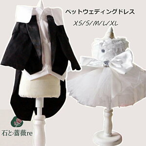  ybgp EFfBOhX ^LV[h ybg̕ tH[}hX@[Xs[X L lR  RX`[ L RXvߑ ʐ^ Be ϐgybgpi  j