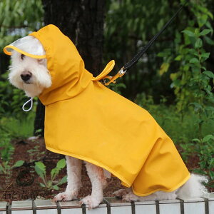   p CR[g@J@EȒP ^/^/^ xbh pi@Xqt@ybgpi ʋC Xqt Up@yVCOʔ