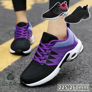  Xb| fB[X Xj[J[ i[XV[Y _CGbg Xj[J[ Xb| jO EH[LO V[Y W ₷ Ȃ y  C Ōt 