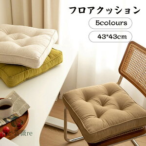  tANbV zc NbV `FANbV ֎qp _CjO`FA fXN[N n43cm Ƌ K _炩 k ̖͗lւ  _CjO l