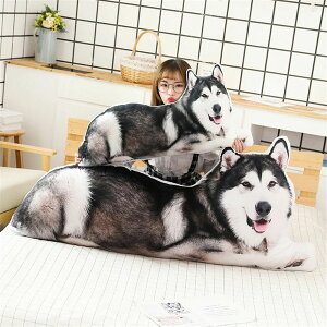  140cm ʂ 3D nXL[ ΂  CeA 傫 AJV[gwA q   ueBbVV[gwA  킢 ޏ ӂӂŖ