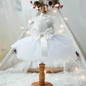 �������� �y�b�g�p �E�F�f�B���O�h���X �y�b�g�̕� �t�H�[�}���h���X�@���[�X�����s�[�X �L �l�R �� �R�X�`���[�� �L�� �ʐ^ �B�e���� �ϐg�y�b�g�p�i ������ ���j�� �L�O �p�[�e�B�[ ���� 