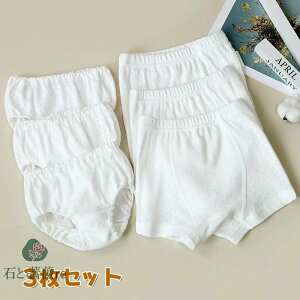  3Zbg V[c ̎q j̎q Ci[ pc ʋC  jp LbY   _炩  z K q Zp K[Y xr[EFA WjA c w xr[ 