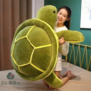 y80cmz ʂ J NTK LZK [uXNTK Mauremys reevesii  NbV CeBA q  傫   ޏ ӂӂŖ _