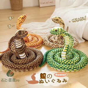  ւ ʂ LORu  AȎ  NbV u _炩 hbL rbN  G | ঒  Aj} ҏb i 