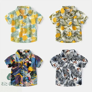  AnVc q Vc  gbvX ĕ r[` ][g RRibc pCibv  AՂ nCA COs LbYVc Rbg [EFA j