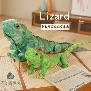  ւ ʂ gJQ  Alizard  NbV u _炩 hbL rbN  G | ঒  Aj} ҏb i  C