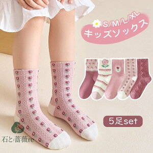 yzLbY \bNX q C 5Zbg `[bv ԕ V[g\bNX xr[C LbYC ̎q ۈ牀 ct w  킢 Mtg v[g  w 