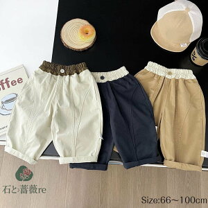  pc LbY j̎q xr[Y{ LbYY{ Opc xr[ Ԃ 66 73 80 90 100  IV  킢 Y{ oYj  JWA yVCO