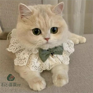  Lp悾ꂩ 킢 pX^C  Lp ^ t^I ru  y Hp ȒP 悾Jo[ U o LpXJ[t ybgo_i _炩 