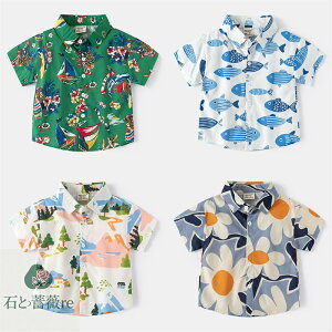  AnVc q Vc  gbvX ĕ r[` ][g D  ԕ AՂ nCA COs LbYVc Rbg [EFA jp C T}[V