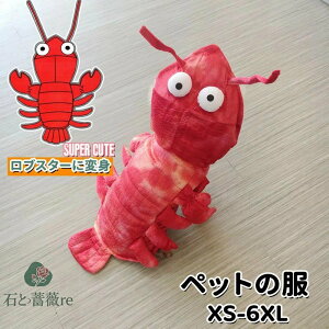  ybg̕ nEB Halloween uX^[ɕϐg LRX`[ RXvߑ   ւ ϐgObY  ϑ EȒP  L L[g hbOEFA ʔ B