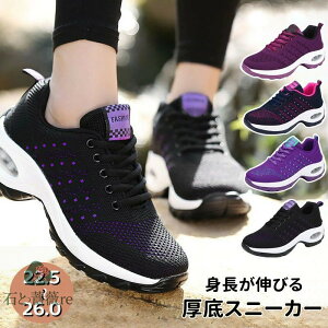  Xb| fB[X Xj[J[ i[XV[Y _CGbg Xj[J[Xb| jO EH[LO V[Y W ₷ Ȃ y  C Ōt 