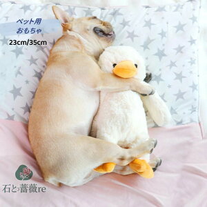   ނ 23cm/35cm Aq _bO ނ o邨 pނ ybg XgXU YY   ^/^/^