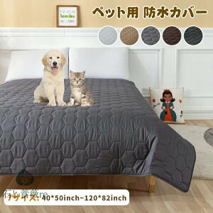 ybg hJo[ h}bg  L   }bg hV[g ybgV[c ~ 唻 Ch @ }bg ybg}bg ybg  h~ 􂦂 Vv x