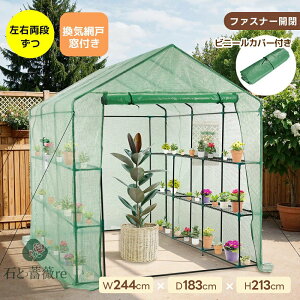 yJo[tzrj[ ^ W244cm×D183cm×H213cm ƒp  ^ E2i x_ ƒp rj[nEX ƒ؉ K[f