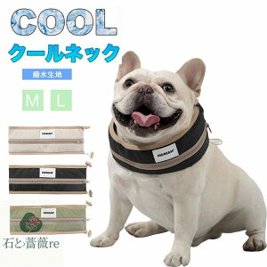 p lbNN[[ Ђ N[lbN MǑ΍ ΍ ۗ ⊴ p  U o