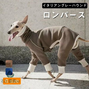 C^O z R hL p[X t[X Lт  tH ~   y