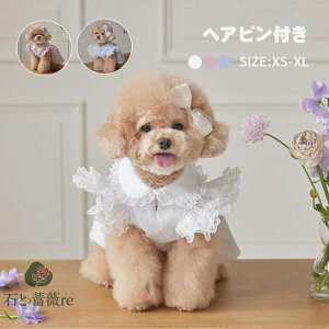 ybg 킢  s[X wAst 2_Zbg Pl [X XJ[g ̎q hX hbOEFA  ^ ^