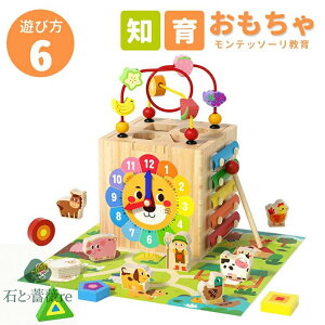 eb\[ ߋ  6in1 ̃pY qQ[{bNX ؐ ʕ̔Fm r[Y