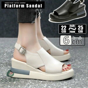 X|[cT_  fB[X T_ I[vgD EFbWT_ EFbW\[ Xj[J[ T_ r L y ʋC Xgbv v PU Vv JWA 