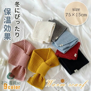 }t[ fB[X ~j}t[  킢 ݃}t[    nw  h  hObY _炩 h jbg}t[ h΍ XJ[t 