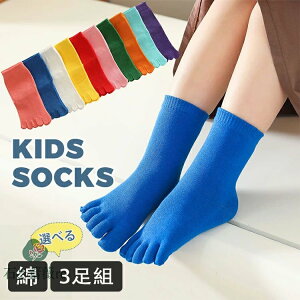 yIׂ3gzq C 5{w LbY V[g\bNX  u lIJ[  j̎q ̎q 5{w\bNX O\h H~ \bNX WjA ^ VY \  