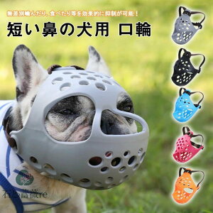   }Y ̐^ Z@̌ ̌ ʖi ݂ EHh~ rߖh~ }XN 